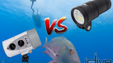 Video Lights vs Underwater Strobes